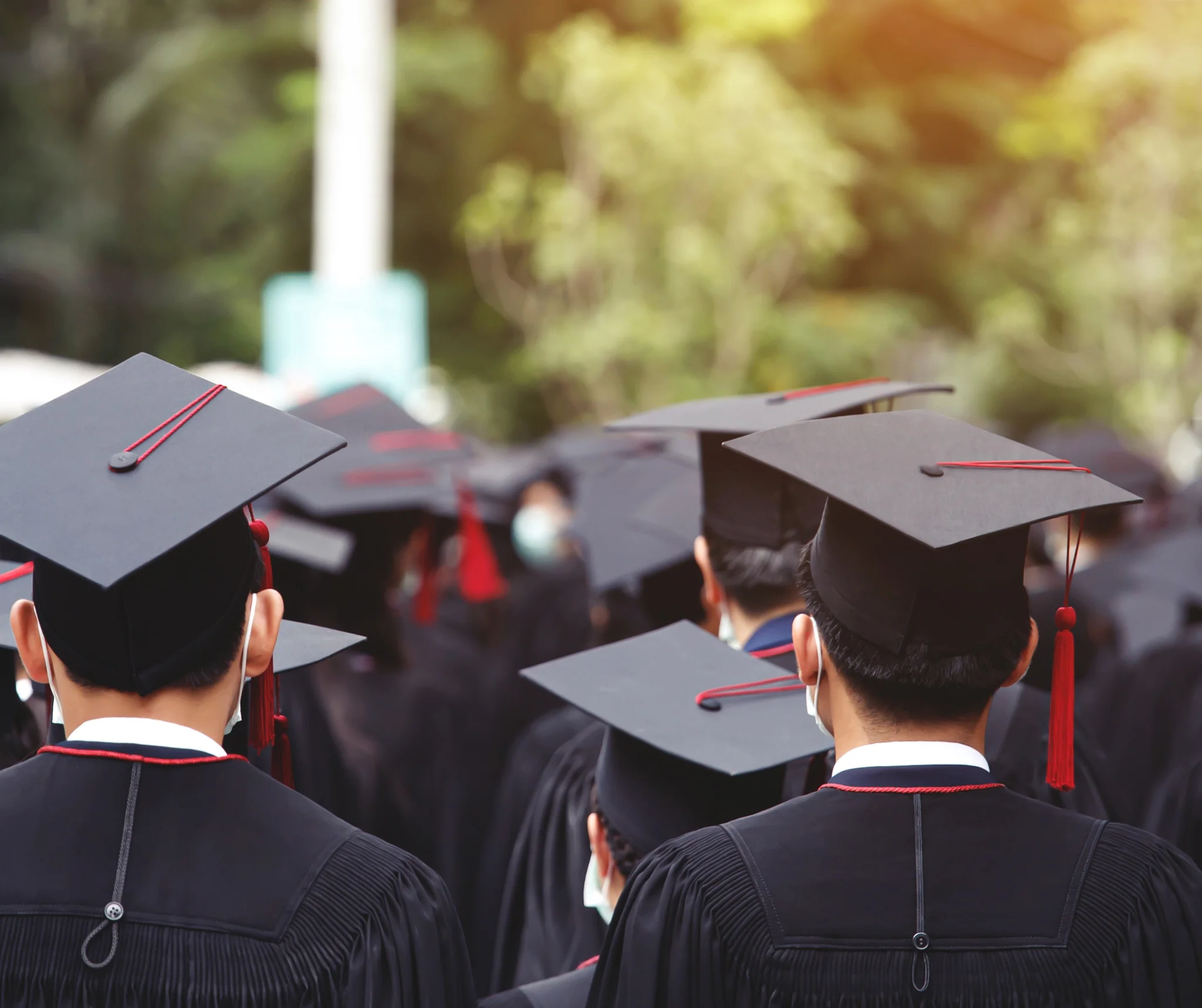 A number of people with black graduation gowns and caps, photographed from the back